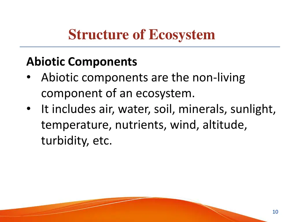 structure of ecosystem 4