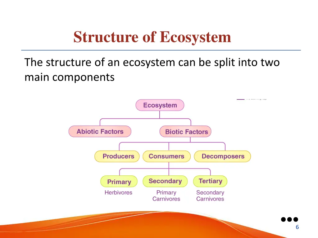 structure of ecosystem
