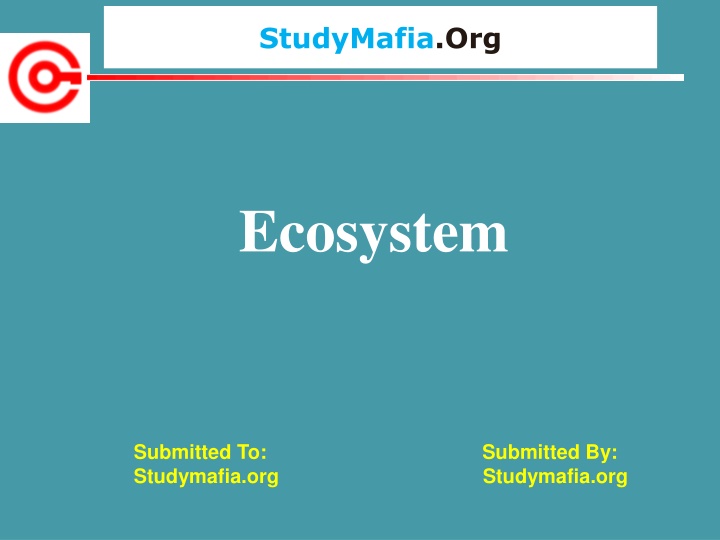 studymafia org