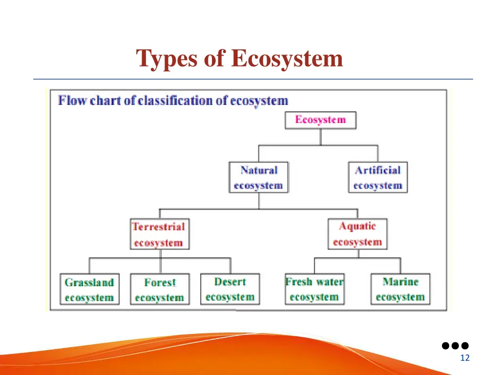types of ecosystem