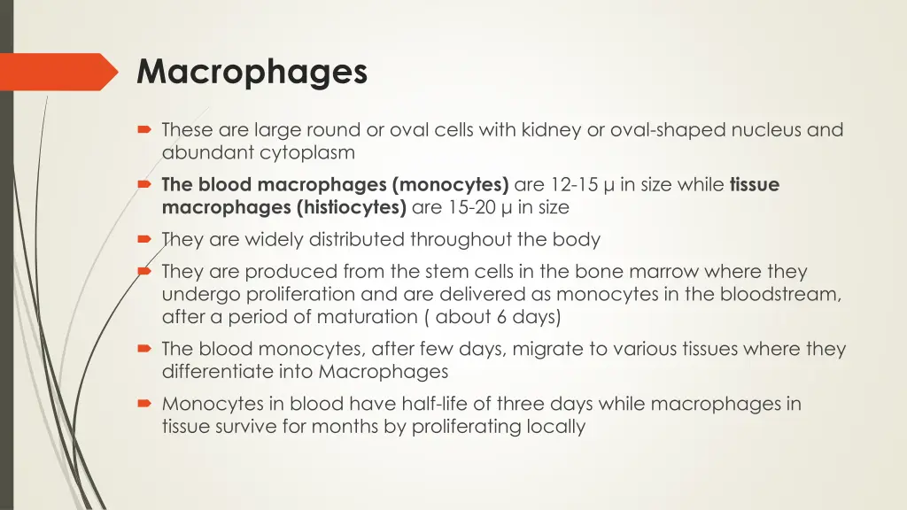 macrophages