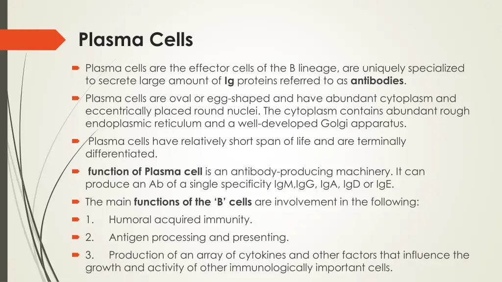 plasma cells