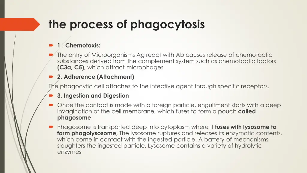 the process of phagocytosis