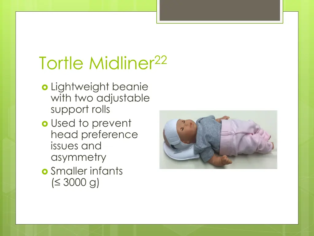 tortle midliner 22