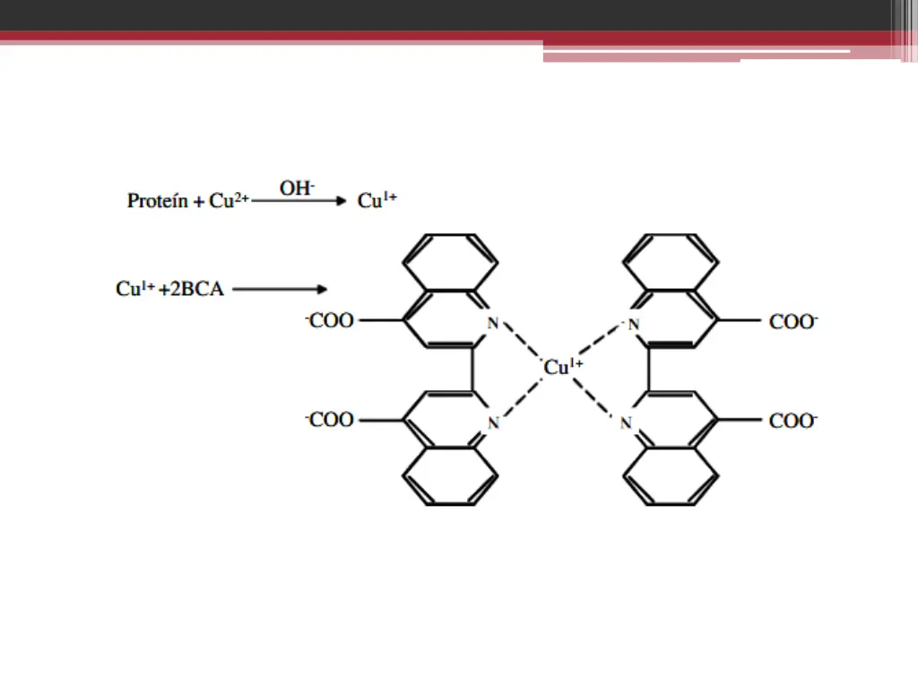 slide6