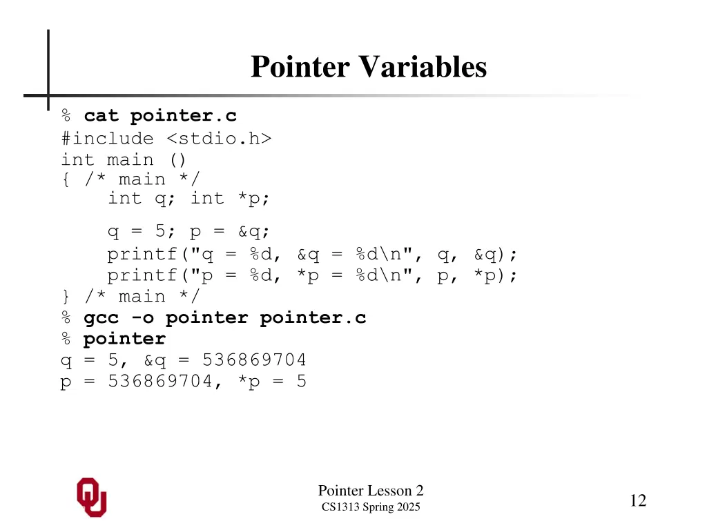 pointer variables