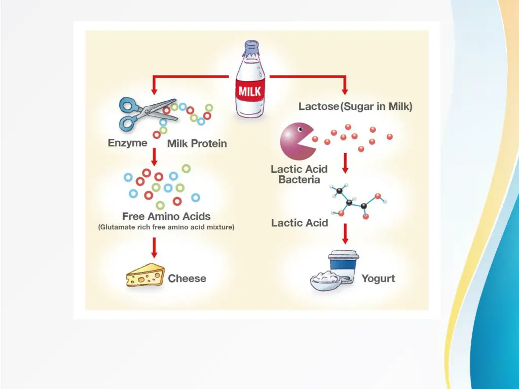 slide13