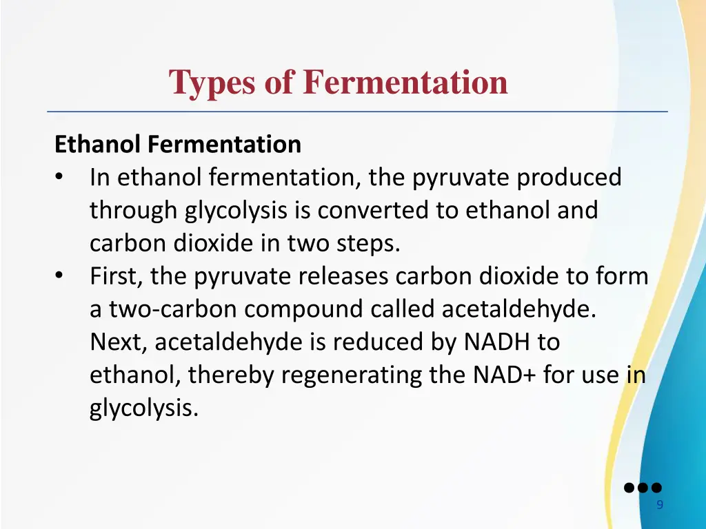 types of fermentation 3