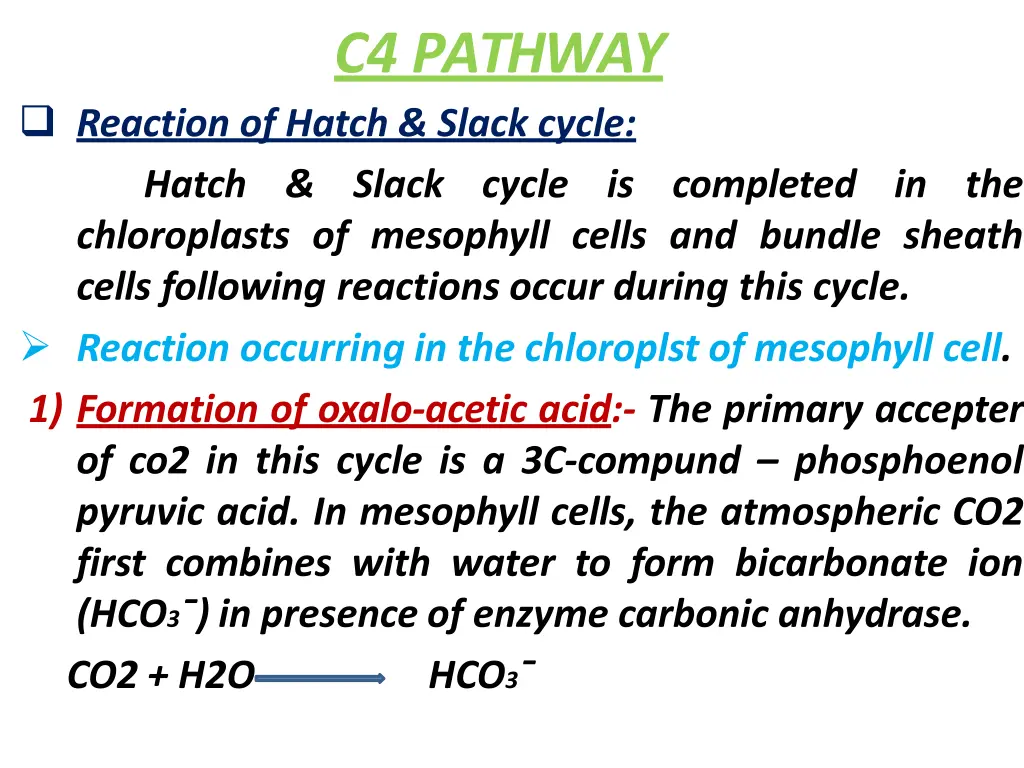 c4 pathway