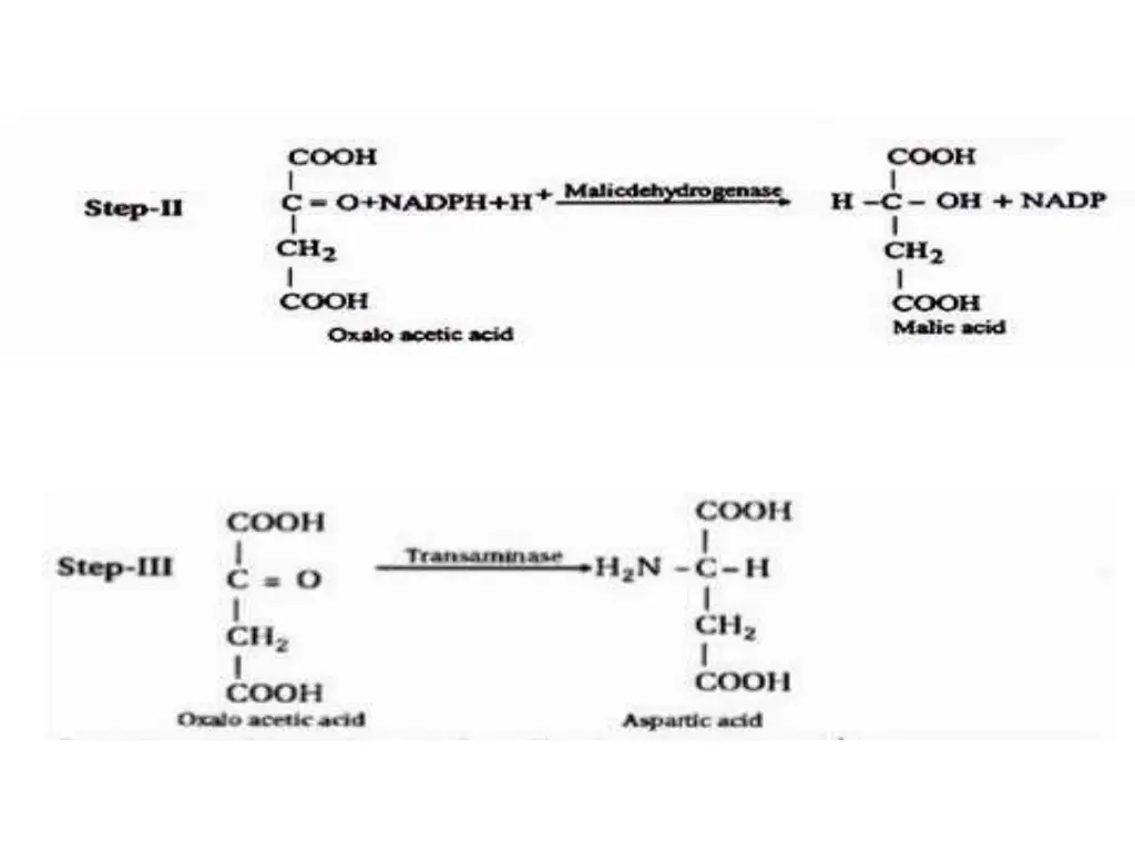 slide13