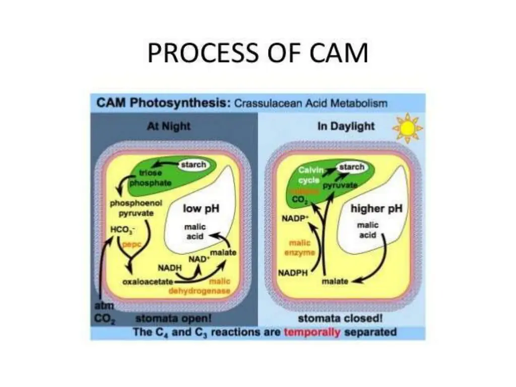 slide25