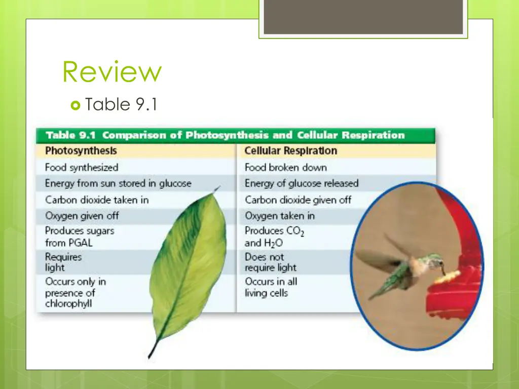review table 9 1