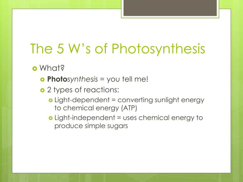 the 5 w s of photosynthesis 1