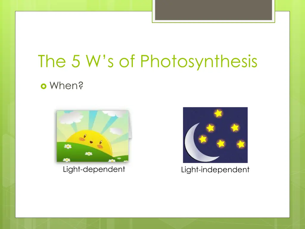 the 5 w s of photosynthesis 2