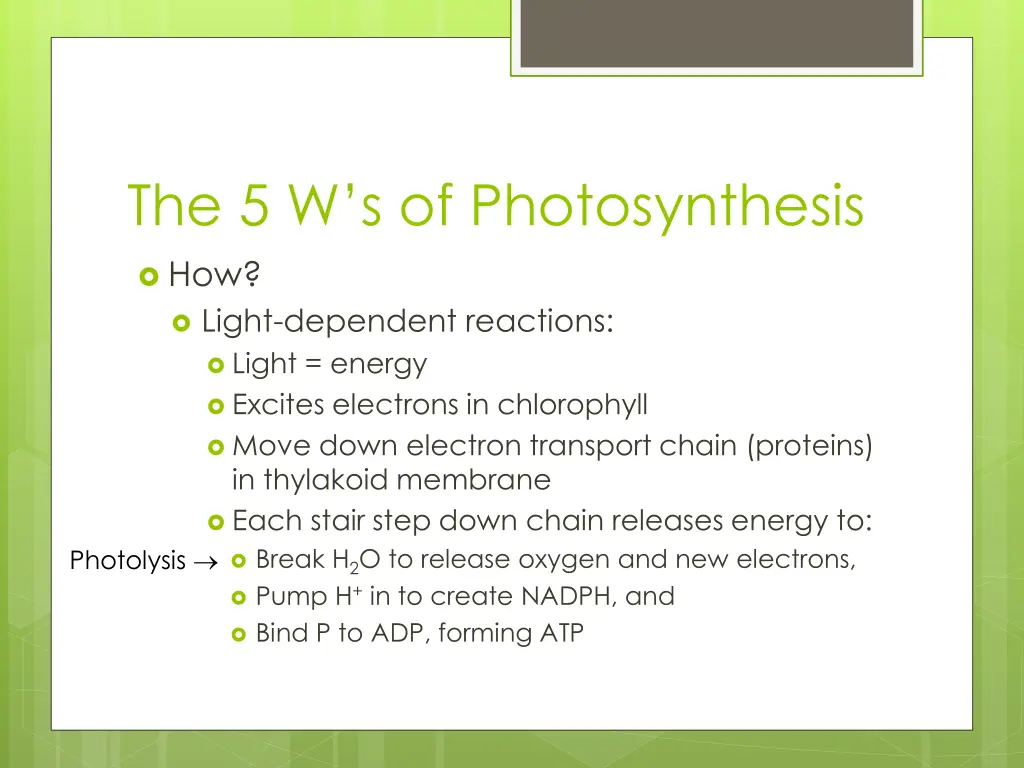 the 5 w s of photosynthesis 5