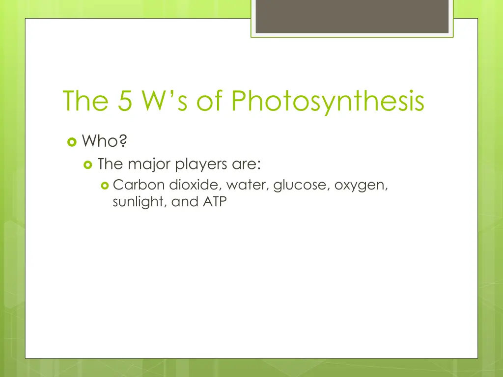 the 5 w s of photosynthesis