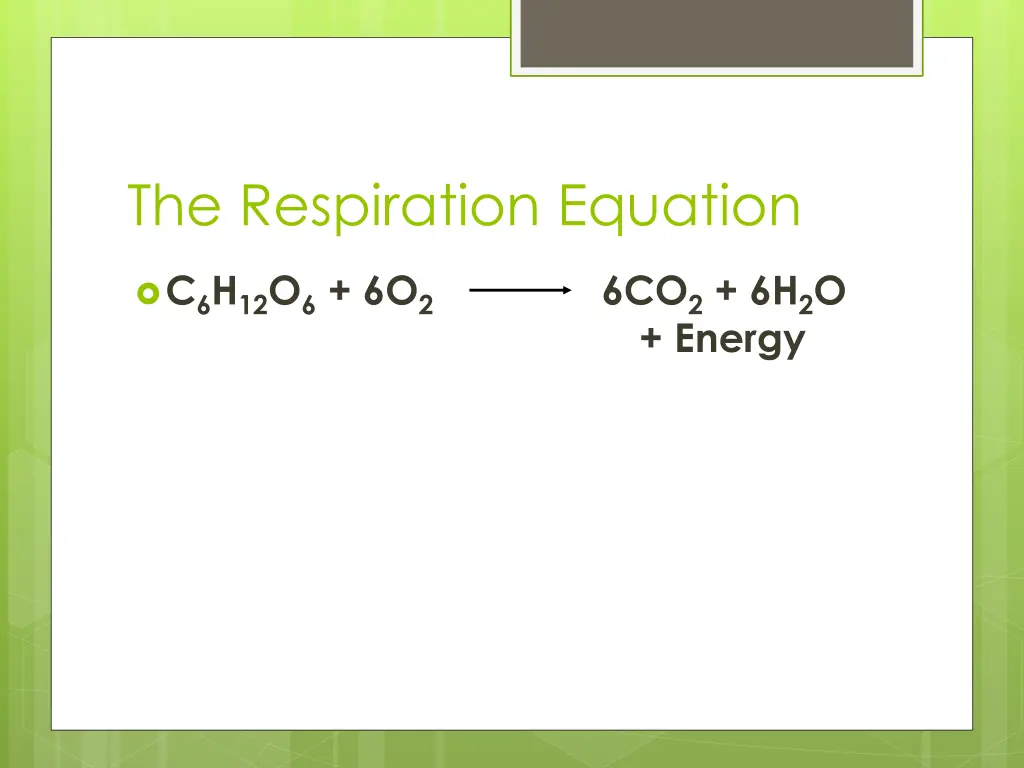the respiration equation