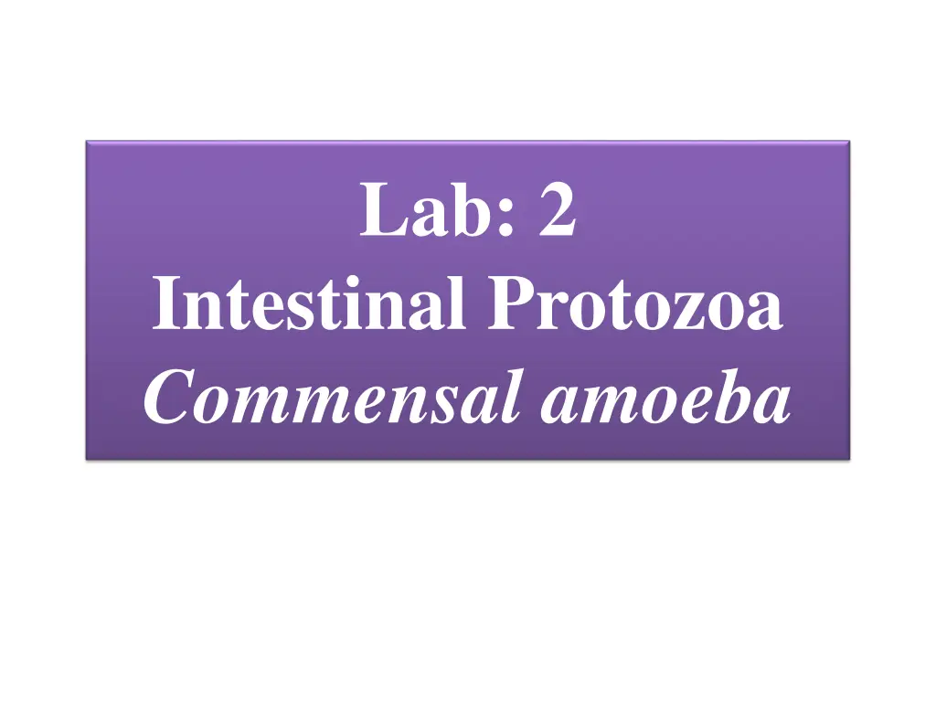 lab 2