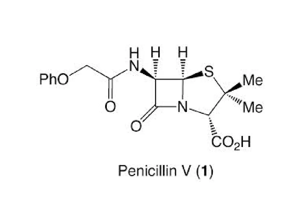 slide4