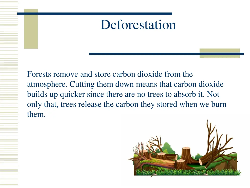 deforestation