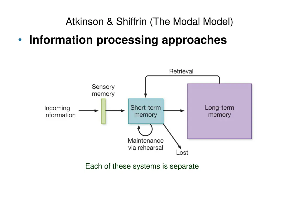 atkinson shiffrin the modal model information