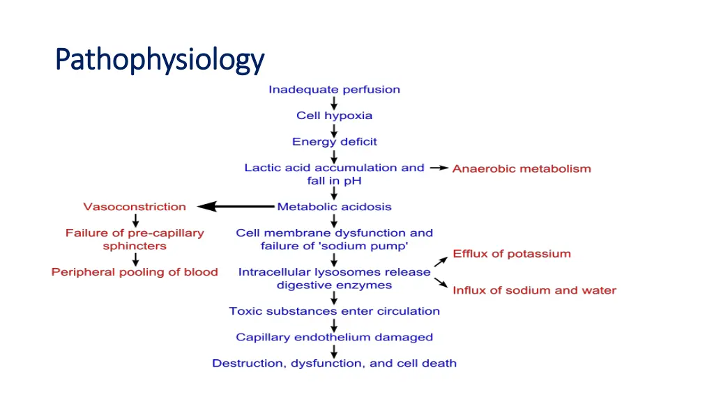 pathophysiology pathophysiology