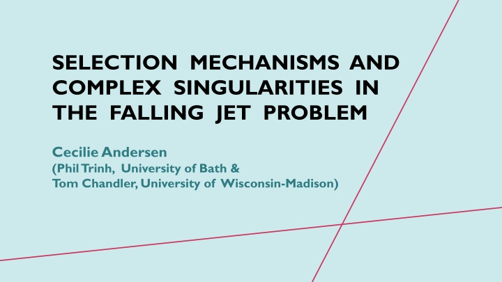 selection mechanisms and complex singularities