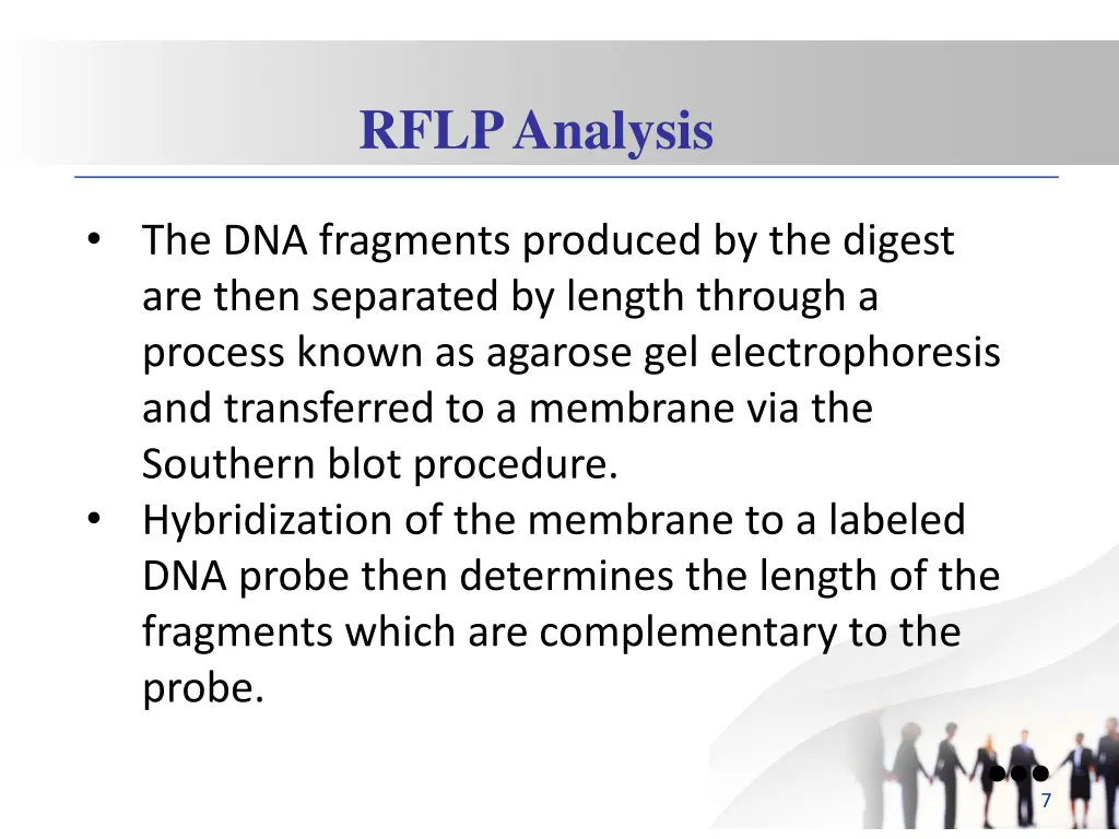 rflp analysis 1