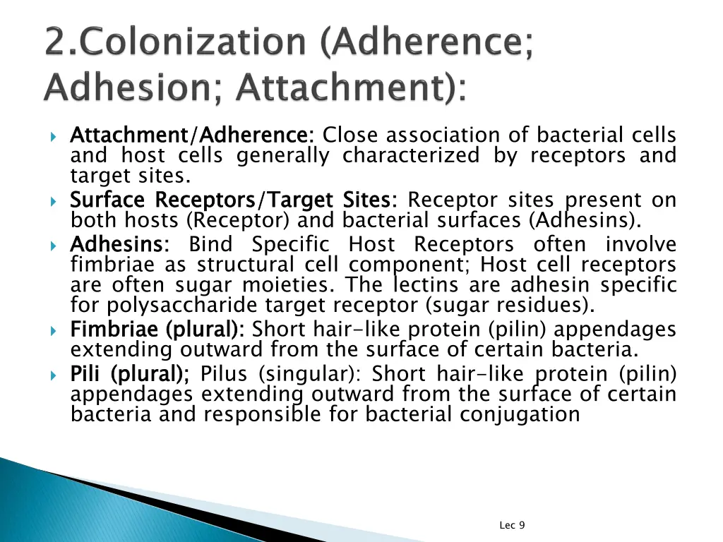 attachment adherence and host cells generally