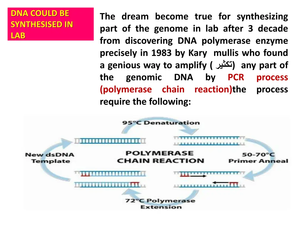 dna could be synthesised in lab