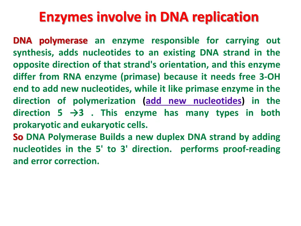 enzymes involve in dna replication 2