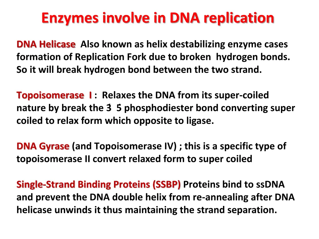 enzymes involve in dna replication