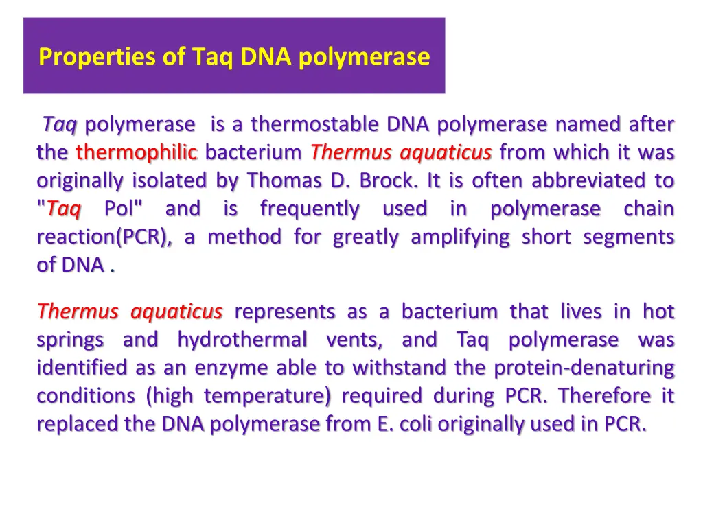 properties of taq dna polymerase