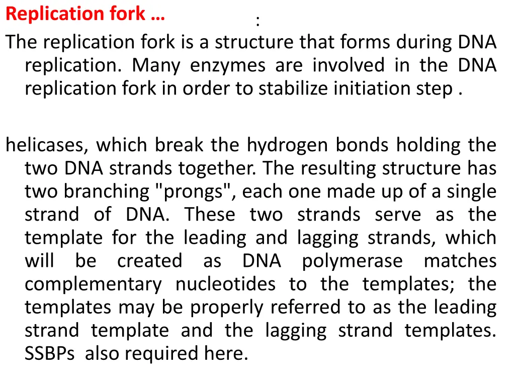 replication fork the replication fork