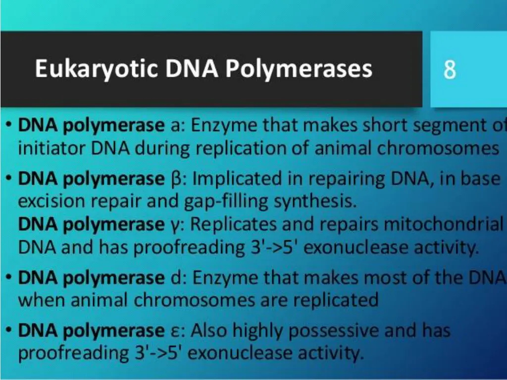 slide11