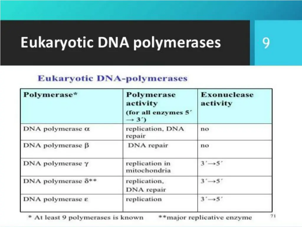 slide12