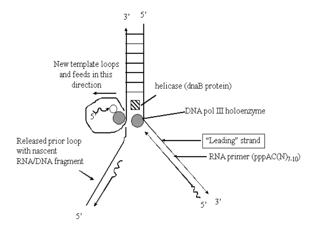 slide35
