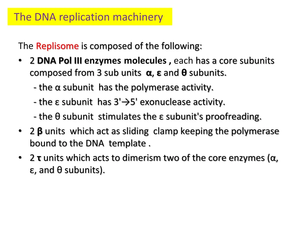 the dna replication machinery