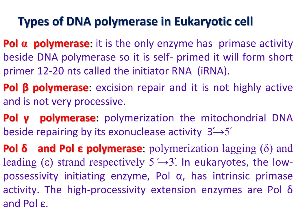 types of dna polymerase in eukaryotic cell 1