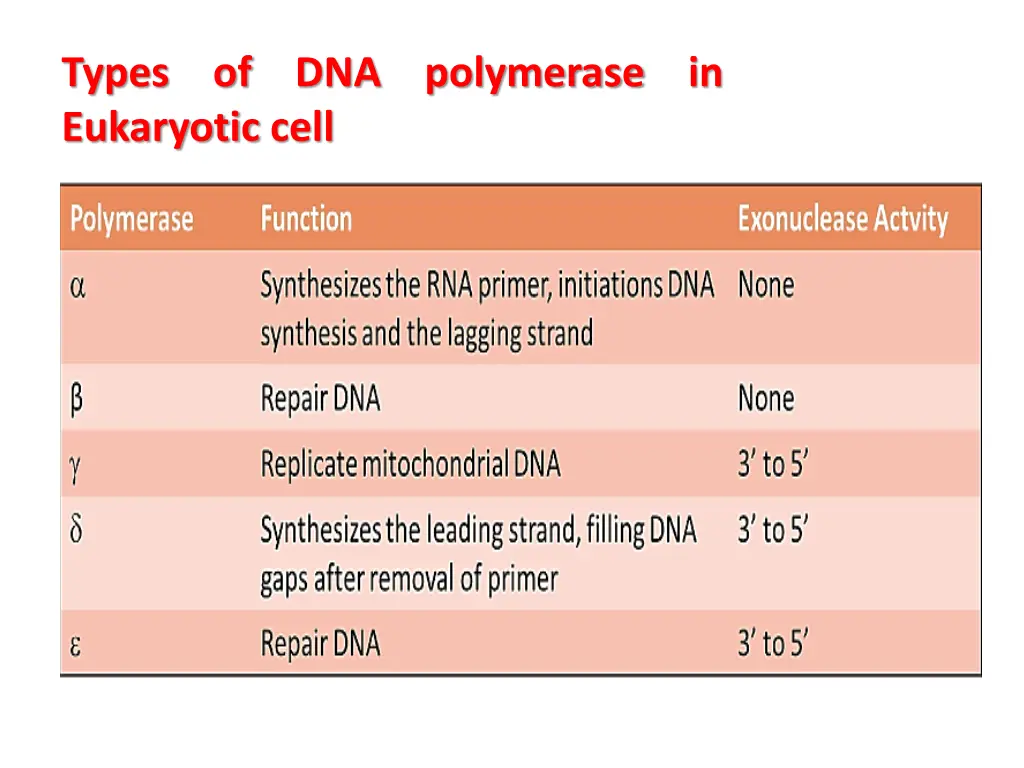 types of dna polymerase in eukaryotic cell