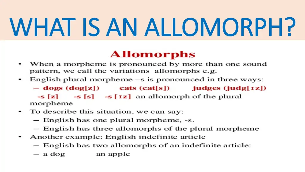 what is an allomorph what is an allomorph