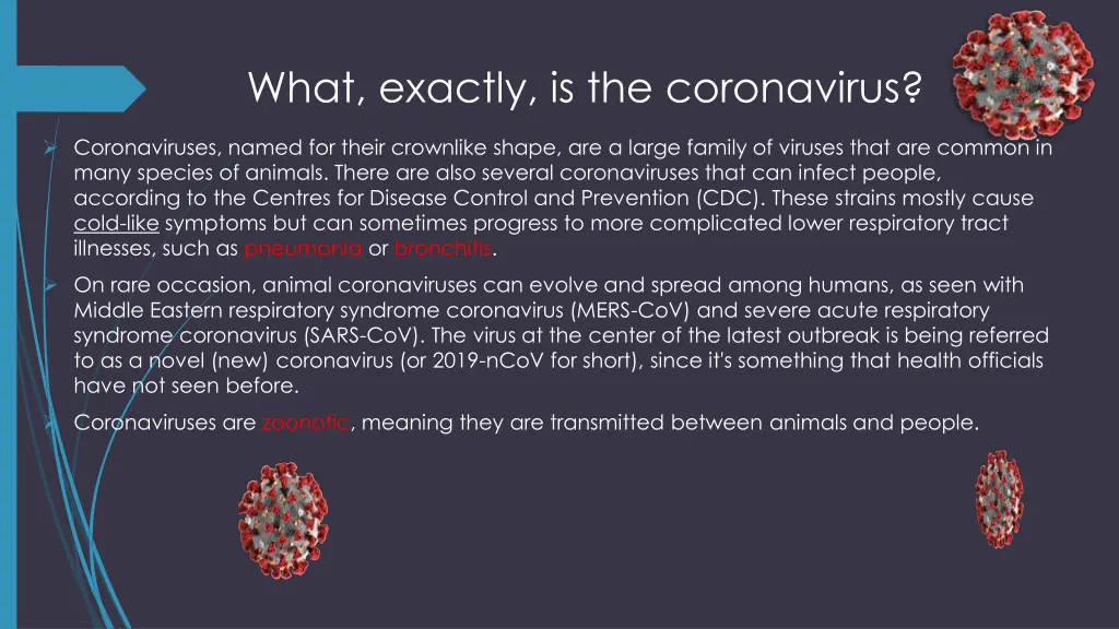 what exactly is the coronavirus