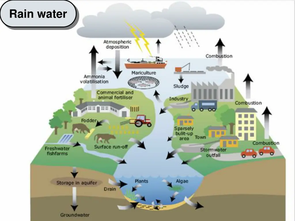 rain water