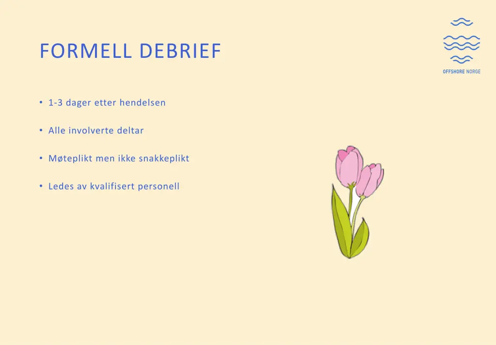 formell debrief