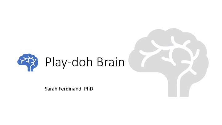 play doh brain