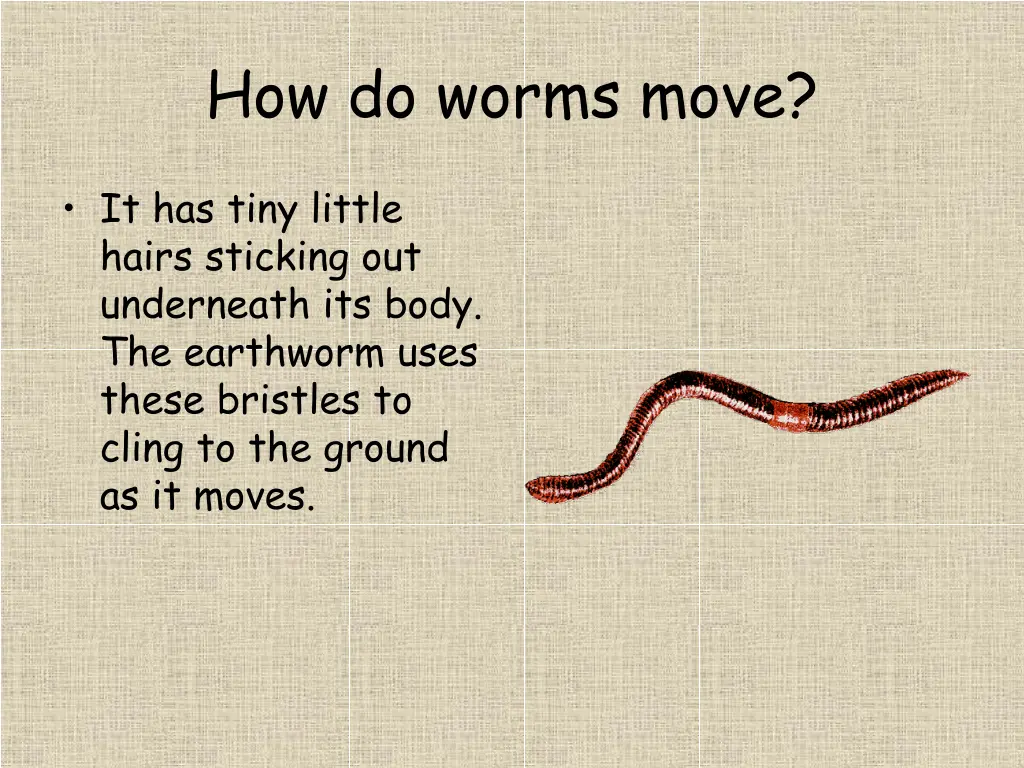 how do worms move