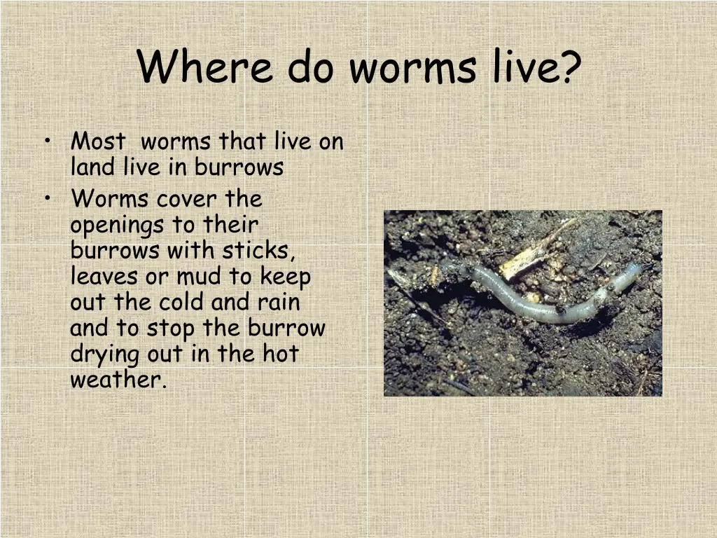 where do worms live