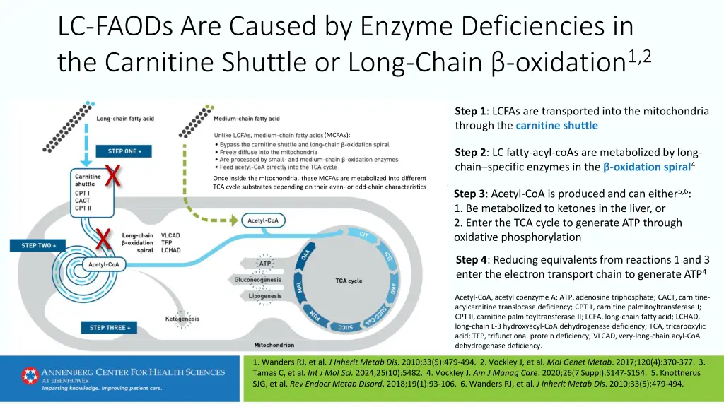 lc faods are caused by enzyme deficiencies