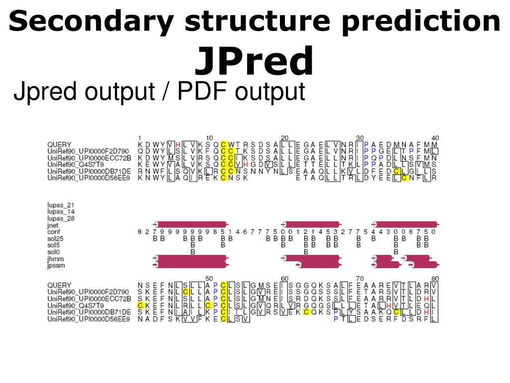 secondary structure prediction jpred 4