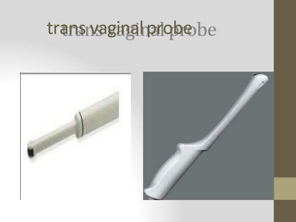 trans vaginal probe